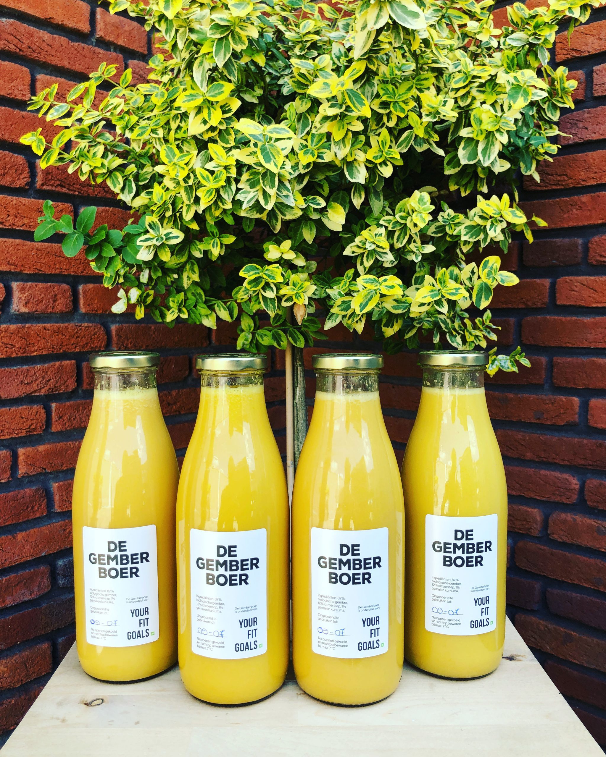 EF17572D-B362-4F6F-8B50-69681B1CFFEA